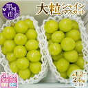 【ふるさと納税】 シャインマスカット 選べる容量 約1.2kg 約2.4kg 2～6房 選べる配送方法 常温 冷蔵 山梨 甲州市産 期間限定 2025年発送 8月 9月 10月 発送 人気 厳選 大粒 フルーツ ぶどう 葡萄 果実 くだもの マスカット 社員マスカット （MG）