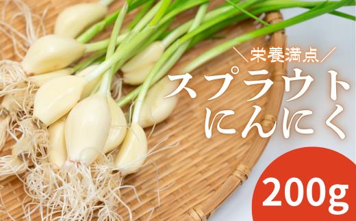 ファーム吉五郎　スプラウトにんにく　200g