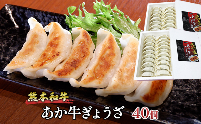 ぎょうざ 熊本 あか牛 餃子 セット 計40個（20個入り×2箱）和牛 肉 お肉 牛肉 加工品 ギョウザ 赤牛 配送不可：離島