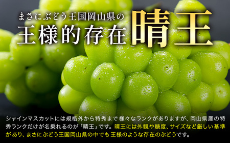 【2026年発送】プレミアム シャインマスカット 船穂 赤秀品 晴王 1.4kg 晴レ乃青果　(岡山中央卸売市場店(富士紙工 有限会社))  
