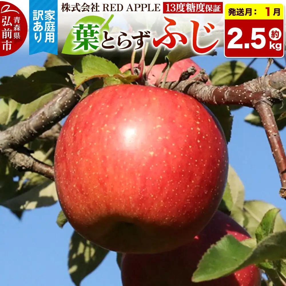 【27年1月上旬～発送】りんご 13度糖度保証【訳あり】家庭用 葉とらずふじ 約5kg 先行受付