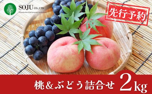 先行予約 季節の桃&ぶどう詰合せ 約2kg 令和8年度 桃（日の出 あかつき なつっこ 川中島白桃 あきぞら 白根白桃 黄金桃） ぶどう（巨峰 シャインマスカット ロザリオビアンコ セキレイ） 贈答用 新潟県 三条市産 [三条果樹専門家集団]【016P042】