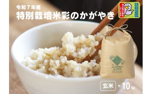 【令和7年産】埼玉県比企郡吉見町産 特別栽培米 彩のかがやき【玄米】10kg