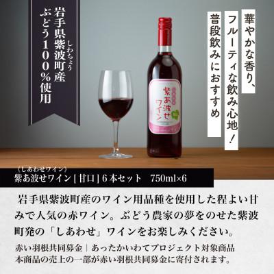 ふるさと納税 紫波町 【自園自醸ワイン紫波】紫あ波せ(しあわせ)ワイン甘口　750ml×6本セット |  | 03