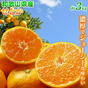 【2027年先行予約】とろける食感！ジューシー柑橘 せとか 3kg_G7353