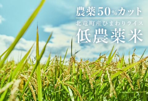 【先行予約】【令和6年産 新米】 ※9月30日0時より申込みは11月後半～12月発送対応※【お米3kg】ななつぼし2kg　低農薬米、発芽玄米1kg