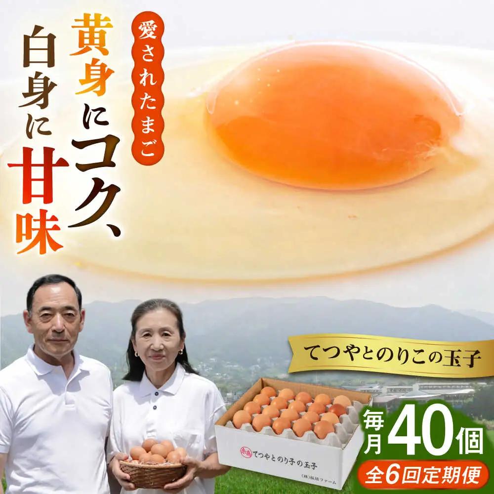 【全6回定期便】卵 40個 てつやとのりこの玉子 卵 たまご 定期便 [AWD021]