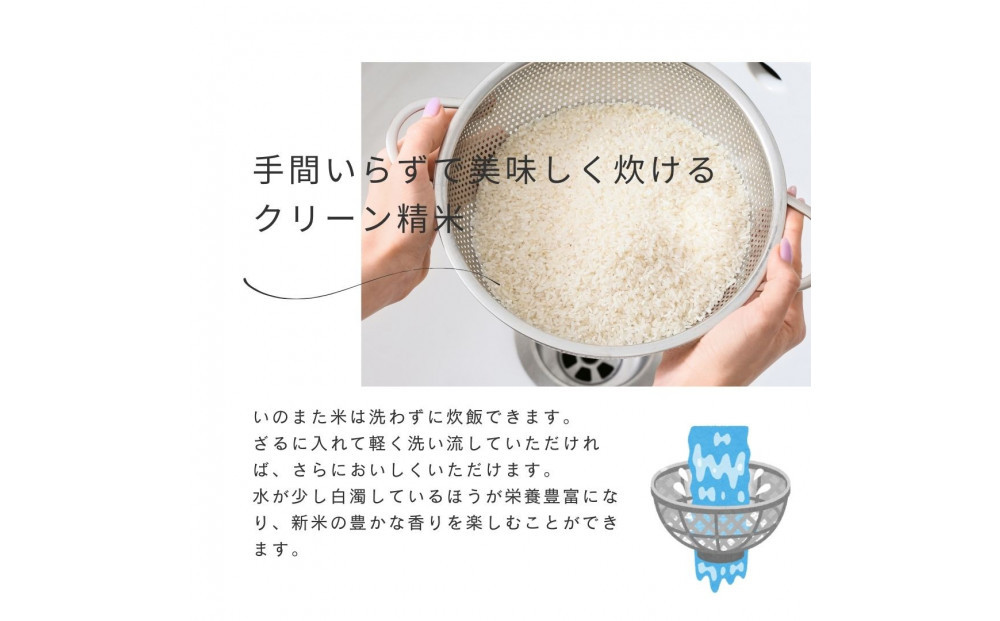 【先行予約】10月中旬以降発送 令和7年産コシヒカリ 精米(無洗米)10kg 農家直送 佐渡市いのまた米