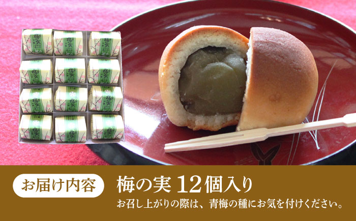 【老舗の菓子屋】築上銘菓「 梅の実 」12 個《築上町》【有限会社 御菓子司 鹿の子】 [ABAC019]