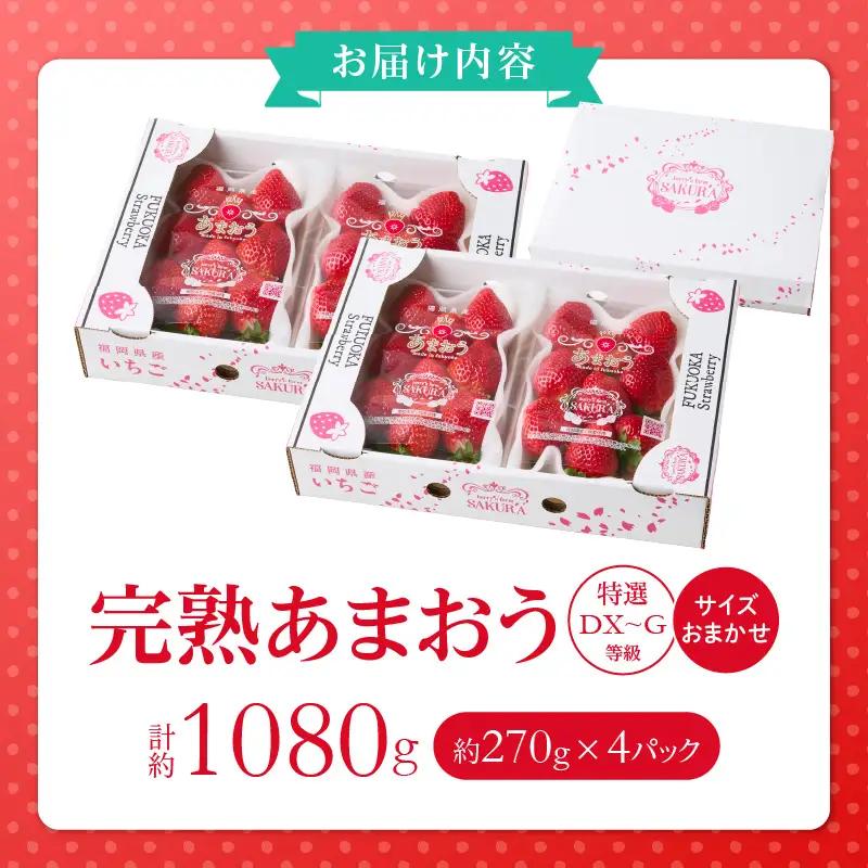福岡県産【特別栽培】サイズおまかせ（DX～G等級）完熟あまおう　270g×4パック_福岡県産 特別栽培 完熟 あまおう 270g × 4パック サイズおまかせ DX～G等級 国産 苺 濃厚 ジューシー