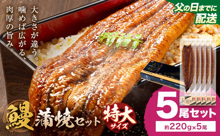 
                  【父の日】＼特大サイズ／ 鹿児島県産 鰻蒲焼真空セット！5尾  タレ・山椒付！ 株式会社薩摩川内鰻 《6月中旬-6月下旬頃出荷》  鹿児島県 さつま町 送料無料 ウナギ 丑の日 うなぎ 刻み グルメ 特大 鰻 蒲焼 真空
                