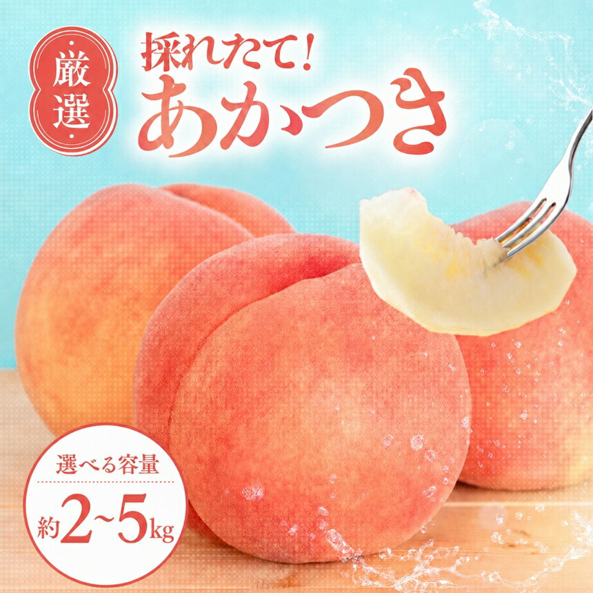 【ふるさと納税】【7月下旬より順次発送】南信州産「桃」あかつき 【選べる容量】 約2kg 約3kg 約5kg | 果物 くだもの フルーツ 桃 あかつき モモ もも 長野県 信州 南信州 飯田市 BI07