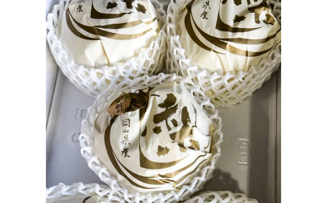 新高 梨 3～6玉 （約4kg） 化粧箱入り【2026年9月下旬～11月上旬迄発送予定】 ／ なし 和梨 果物 果実 フルーツ 大玉 岡山県 美咲町 常温