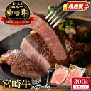 【ふるさと納税】牛肉 ステーキ スピード配送 最速便 300g 2枚 ヒレ ステーキ 国産 宮崎県産 宮崎牛 ブランド牛 極上な肉質 脂肪 少ない 甘み 芳醇な香り 老若男女 食べやすい 延岡市 お取り寄せ お取り寄せグルメ 肉 おかず 食べ物 贈り物 ギフト 冷凍 送料無料