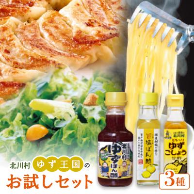 ふるさと納税 北川村 ゆず王国のお試しセット