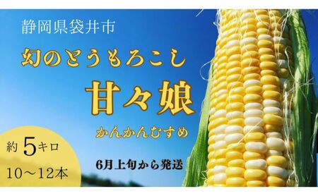 【先行予約】数量限定！リピーター続出！！とうもろこし★甘々娘★  おすすめ コーン トウモロコシ かんかんむすめ 採れたて 新鮮 野菜 健康 ヘルシー 人気 厳選 袋井市 フルーツコーン 静岡県