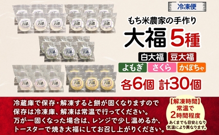 もち米農家の大福 5種 計30個 セット もち米 米 お米 大福 和菓子 お菓子 デザート モチモチ もちもち おやつ 国産もち米 国産 日本産 つきたて 冷凍 本格的 お取り寄せ ご当地 送料無料 