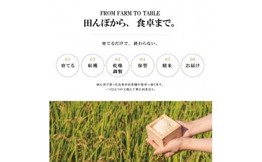令和8年 新米 新潟県上越市産 穂希 新之助 5kg 精米 株式会社MSD
