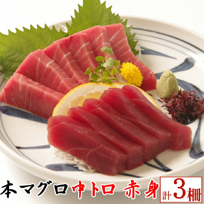 【ふるさと納税】 天然本マグロ　中トロ2柵　赤身1柵　（計600g） 刺身 漬け丼 海鮮丼 マグロ丼 ちらし寿司 鮪 まぐろ ネギトロ丼 魚介 惣菜 冷凍 送料無料 eb015