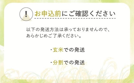 新米 米 精米 10kg 5kg×2袋 ひとめぼれ 令和6年産  2024年産 山形県尾花沢市産 kb-hisxb10