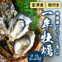 【ふるさと納税】H-11【12月〜3月限定】 室津産殻つき牡蠣2.2kg