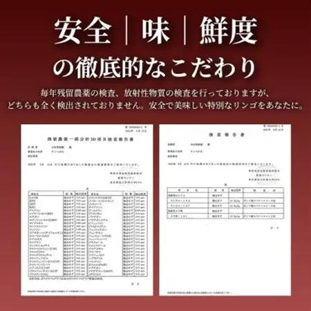 【青森直送 季節の味覚をお届け!】サン美丘 5kg×1箱(家庭用)青森産 産地直送 限定生産【配送不可地域：離島】【1700929】