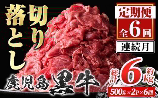 
            E01010 ＜定期便・全6回・連続月＞鹿児島黒牛 切り落とし(計約6kg・約500g×2P×6回) 鹿児島 国産 九州産 鹿児島県産 黒毛和牛 国産牛 牛肉 切り落し 切落とし 切落し お肉 冷凍 小分け すきやき すき焼き 牛すき 牛丼 カレー 肉じゃが 炒め物 【新村畜産】
          