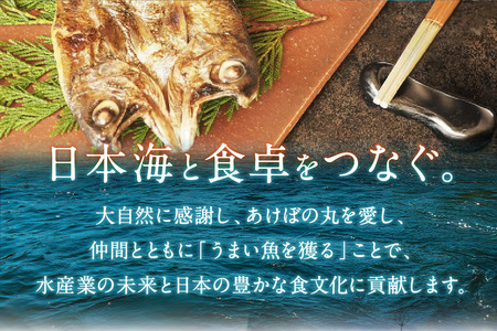 山陰浜田港あけぼの丸の塩焼き・煮付け用大型のどぐろセット（冷凍）【146_2028】