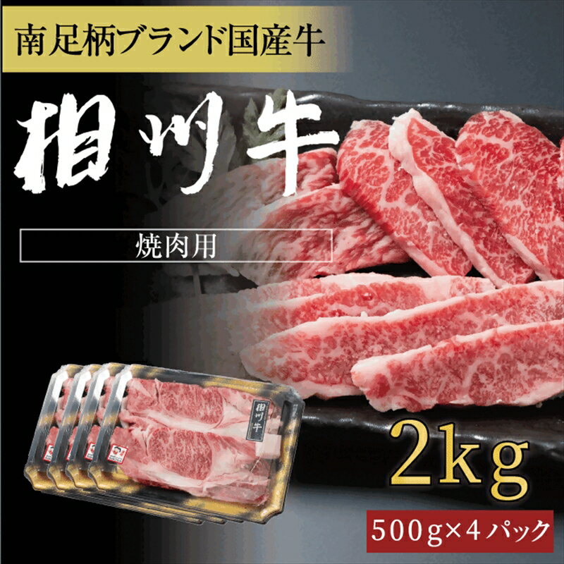 【ふるさと納税】相州牛 焼肉・網焼き用カルビ　2.0kg（厚切り） 【 牛肉 お肉 ブランド牛 神奈川県 南足柄市 】