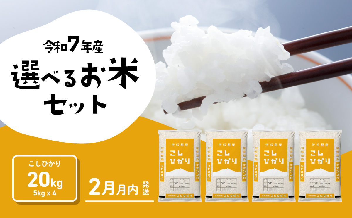 【2月発送】コシヒカリ 20kg 令和7年産 新米 茨城県産 白米 精米 茨城県 お米 米 [SF402yai]