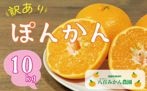 【先行予約】訳あり ぽんかん 10kg <発送期間：2027年1月下旬～無くなり次第終了> 八百みかん農園 の ぽんかん 10000円 家庭用 10kg 先行 事前 予約 受付 みかん 不知火 はるみ 防腐剤不使用 愛媛 産地直送 国産 農家直送 糖度 甘味 果樹園 期間限定 数量限定 特産品 ジュース 人気 限定 愛南  新鮮 果実 さわやか 風味 甘い フルーツ 果物 柑橘 蜜柑