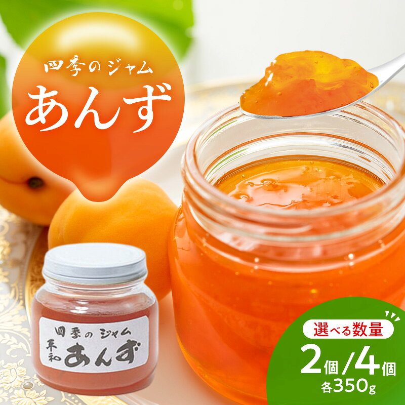 【ふるさと納税】ジャム 長野 四季のジャム あんず 2個/4個 セット 飯島商店 あんずジャム 朝ごはん 朝食 パン フルーツ 果物 デザート スイーツ ギフト プレゼント 贈答 贈り物 調味料 加工食品 アンズジャム アンズ 杏 杏子 長野県 上田市 上田