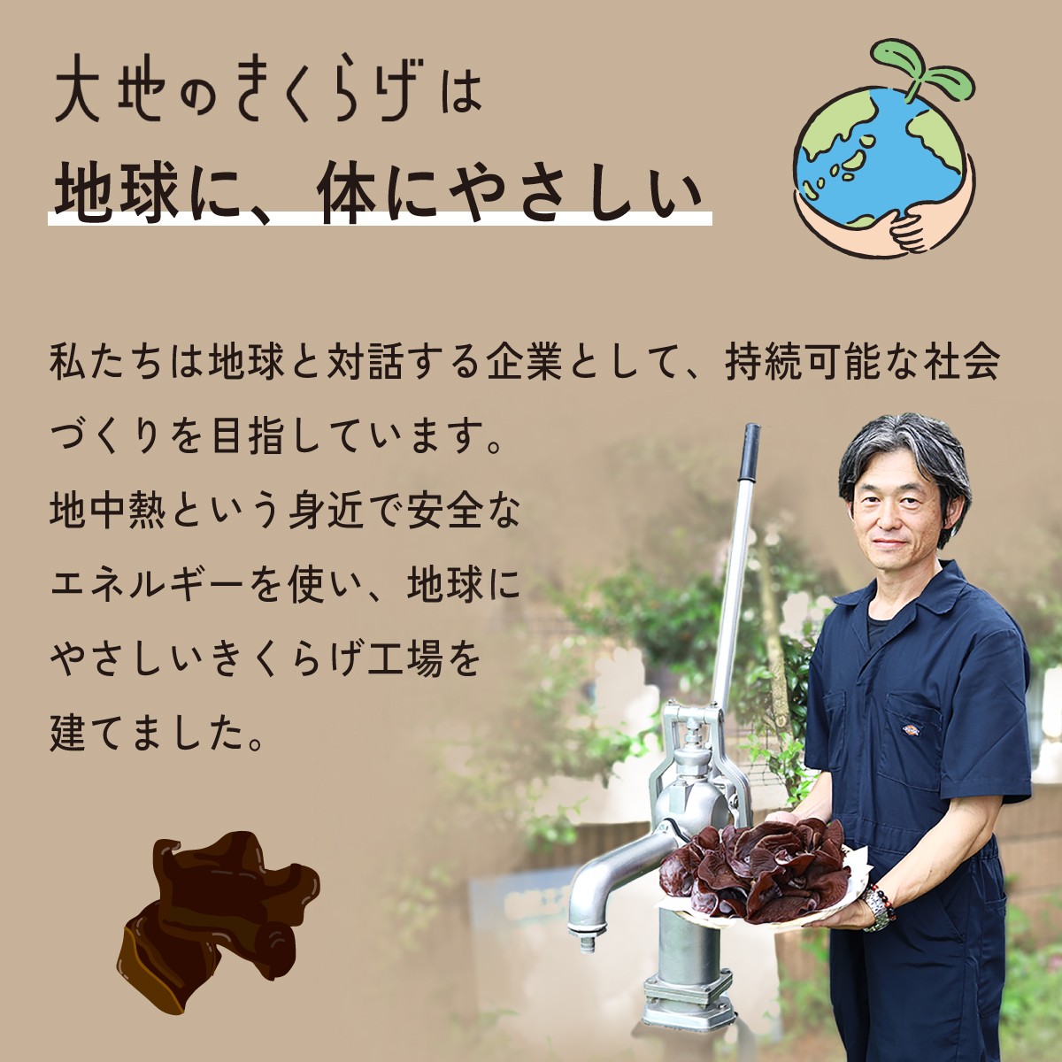 きくらげ キクラゲ 木耳 乾燥きくらげ 大地のきくらげ 国産きくらげ 生きくらげ
