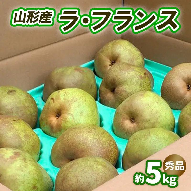 ラ・フランス 約5kg 秀品 (10～16玉) 3L～6L [11月発送]【令和8年産先行予約】FS25-742