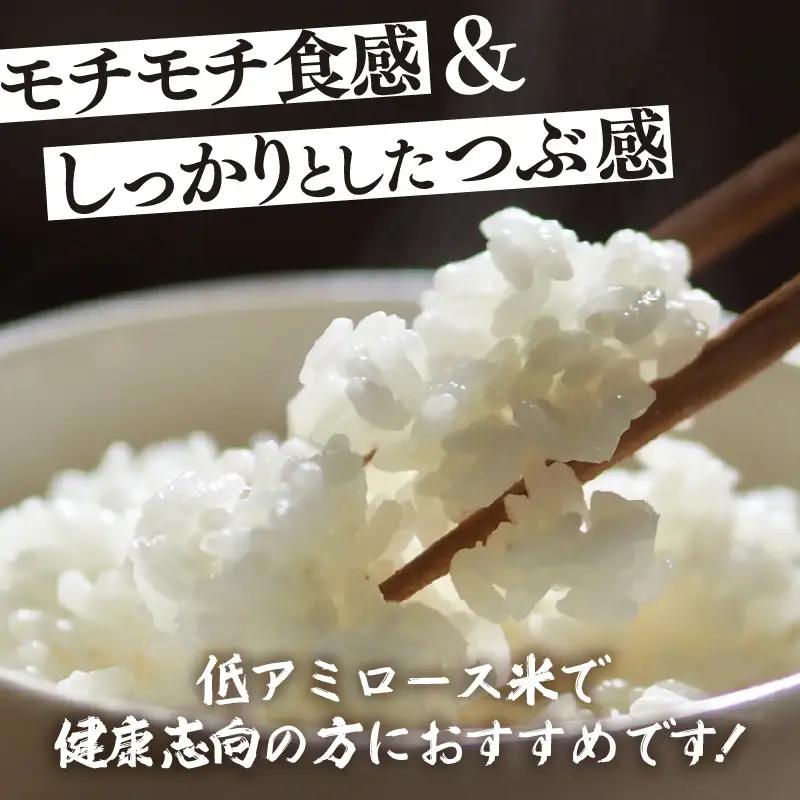 【先行予約】【令和8年産】定期便 ≪3ヶ月連続お届け≫ 化学肥料不使用 ふくむすめ 精米 5kg × 3回（合計15kg） / 白米 米 福井県あわら市産 美味しい 特別栽培米 減農薬 安心な米 旨味