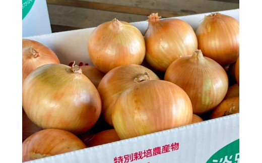 【あさひサンファーム】【混合10kg】兵庫県認証食品★特別栽培★淡路島たまねぎ