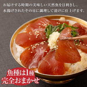 旬のお魚漬け丼セット100g×4P（魚種１種類おまかせ）海鮮丼 お楽しみ さば丼 カツオ丼 アジ丼【R00364】