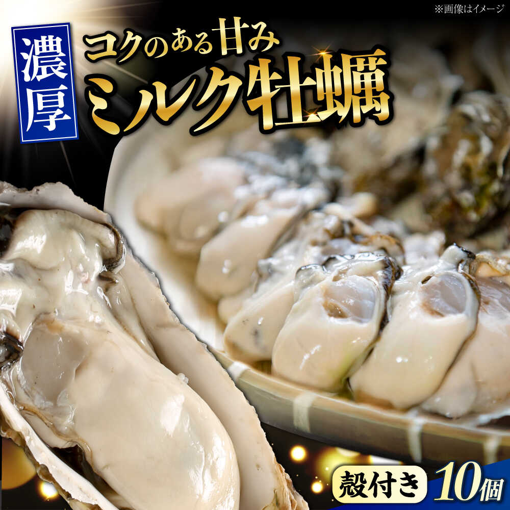 【ふるさと納税】【江田島ミルク牡蠣】殻付き 牡蠣 10個 加熱用 かき 広島県産 カキ 貝付き牡蠣 海鮮 贈呈用 BBQ 濃厚 新鮮 蒸し牡蠣 焼き牡蠣 グリル焼き 魚介類 海鮮 牡蠣 むき身 冷凍 かき カキフライ カキ ギフト 広島県産 人気 送料無料 丸杉水産/江田島市[XCY001]