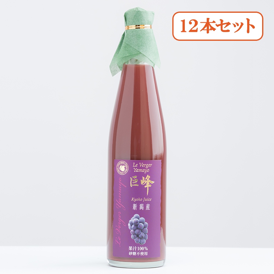 【もったいない！を食べよう】＜ヤマヨ果樹園＞巨峰ジュース500ml×12本セット