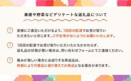 【先行予約】柚 フルーツ 定期便 全4回 さくらんぼ 佐藤錦  もも 白桃 ぶどう シャインマスカット ラ・フランス ギフト 果物 2025年産 令和7年産 山形県産 mm-ft4yz