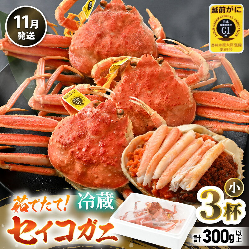 【ふるさと納税】【先行予約】【冷蔵】 旬のセイコガニ 小 3杯 計300g以上（茹で前）説明書付き 【2026年11月上旬以降順次発送予定】 食べ切数量！全て地物！天然！ ズワイガニメス せいこがに