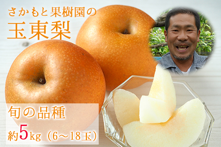 旬の梨 約5kg さかもと果樹園 期間限定 梨