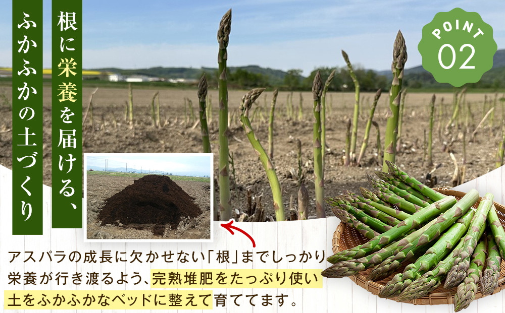 【先行予約】朝採りアスパラ Lサイズ 2kg（500g×4）鮮度保持パック入り 旭川近郊産 露地物(2024年5月中旬発送開始予定)_01591
