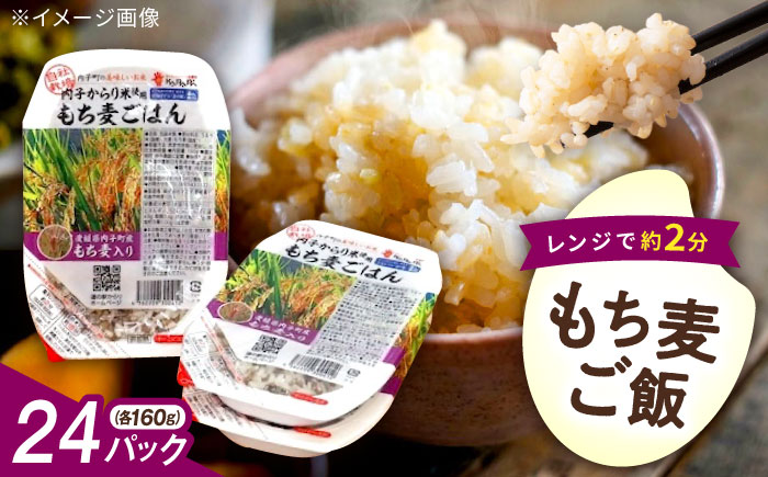 内子からり米使用 もち麦ご飯 24パック 自社栽培内子からり米にこまる・内子町産もち麦使用 ／ 米 もち麦 ごはん 愛媛県産 お米 パックご飯 【株式会社内子フレッシュパークからり】 [BKAD007