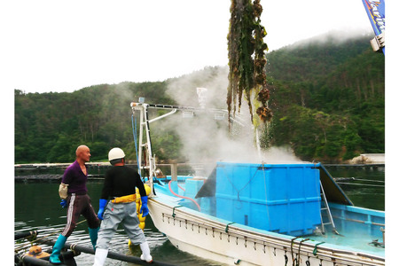 【期間限定発送】ヤマヨ水産の牡蠣 生食用 むき身 500g 《5月前半～出荷》 [気仙沼市物産振興協会 宮城県 気仙沼市 20565237]