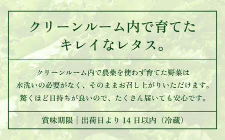 低カリウムレタス 美野菜 「JOIA」 10袋 クリーンルーム栽培 無農薬 鮮度長持ち 【野菜 生野菜 レタス サラダ お弁当 水耕栽培 洗わず食べられる 時短 付け合わせ】レタス フリルレタス 野菜