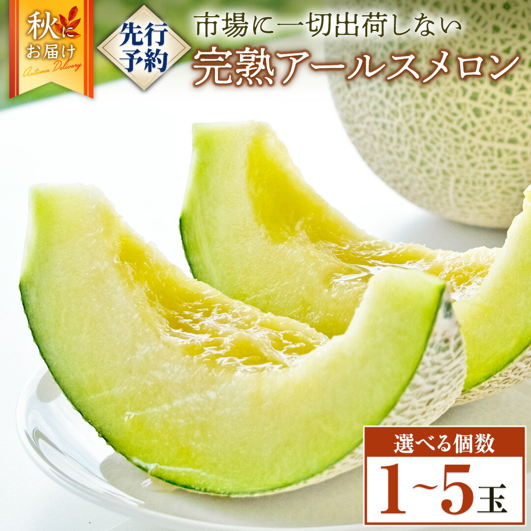 【ふるさと納税】 完熟 アールスメロン ( 選べる 内容量 ) 2025年産 先行予約 メロン マスクメロン 青肉 果物 フルーツ 茨城県産 期間限定 数量限定 1玉 特大1玉 2玉 3玉 4玉 5玉