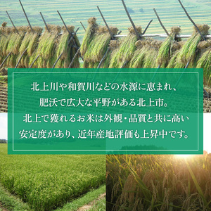 【 定期便 / 6ヶ月/毎月 】米 お米 令和7年産  北上ひとめぼれ 8kg（ 2kg ×4袋）定期 ブランド米 精米 白米 産地直送 国産 送料無料 ライズみちのく 岩手県 北上市 P0129 