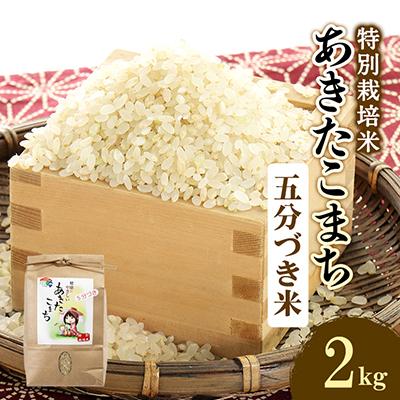 ふるさと納税 大潟村 令和7年産　特別栽培米あきたこまち　五分づき米2kg