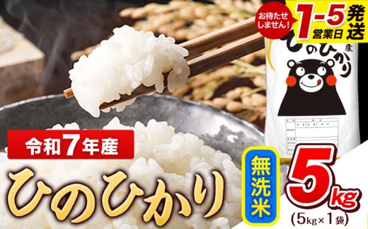 令和7年産 無洗米 ひのひかり 5kg《1-5日以内に出荷予定(土日祝除く)》  令和7年産 熊本県産 ふるさと納税 無洗米 精米 ひの 米 こめ ふるさとのうぜい ヒノヒカリ コメ お米 おこめ